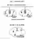 Fig. 02 - Apparatus and method for transmitting data between wireless and wired networks