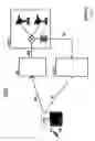 Fig. 02 - Personnalization module for interactive digital television system