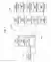Fig. 04 - Extending Ethernet-over-SONET to provide point-to-multipoint service