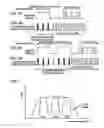 Fig. 06 - Communication device and communication method