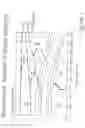 Fig. 02 - Adaptive dynamic range optimization sound processor