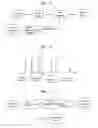 Fig. 07 - System and method for robust reversible data hiding and data recovery in the spatial domain