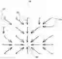 Fig. 01 - Toboggan-based shape characterization