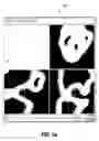 Fig. 06 - Toboggan-based shape characterization