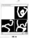 Fig. 07 - Toboggan-based shape characterization