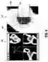 Fig. 08 - Toboggan-based shape characterization