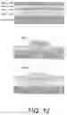 Fig. 13 - System and method for an optical modulator having a quantum well