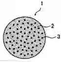 Fig. 01 - Optical fiber having sea and islands structure