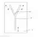 Fig. 01 - Waveguide compositions and waveguides formed therefrom