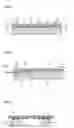 Fig. 03 - Temperature control element temperature control component, and waveguide opical module