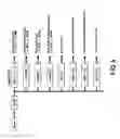 Fig. 05 - Image information transmitting method and image information processor