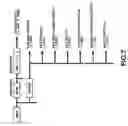 Fig. 08 - Image information transmitting method and image information processor