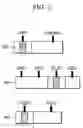 Fig. 03 - Recording/reproducing apparatus