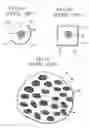 Fig. 11 - Light detection apparatus and free space optics communication apparatus
