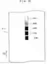 Fig. 17 - Image forming apparatus, a toner counter and a calculation method of toner consumption