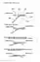 Fig. 09 - Image forming apparatus