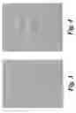 Fig. 03 - Method of incorporating a secondary image into a primary image
