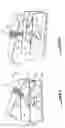 Fig. 03 - Device for fastening a part, such as a trough, to a support part, such as a support plate