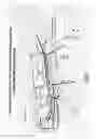 Fig. 33 - Turbomachine with fluid supply