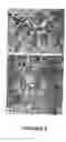 Fig. 02 - Endothelial cell expression patterns