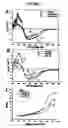 Fig. 04 - Monomeric recombinant MHC molecules useful for manipulation of antigen-specific T cells