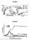Fig. 05 - Monomeric recombinant MHC molecules useful for manipulation of antigen-specific T cells
