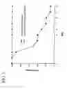 Fig. 04 - Derivatives of choline binding proteins for vaccines