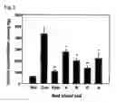 Fig. 03 - Pharmaceutical composition comprising an extract of for the prevention and the treatment of diabetes and diabetic complications