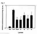 Fig. 04 - Pharmaceutical composition comprising an extract of for the prevention and the treatment of diabetes and diabetic complications