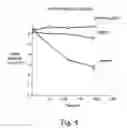 Fig. 05 - Immunogenic compositions including rough phenotype host strains and complementation DNA fragments
