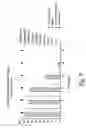 Fig. 08 - Immunogenic compositions including rough phenotype host strains and complementation DNA fragments