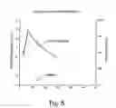 Fig. 09 - Immunogenic compositions including rough phenotype host strains and complementation DNA fragments