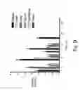 Fig. 10 - Immunogenic compositions including rough phenotype host strains and complementation DNA fragments