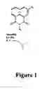 Fig. 02 - Naphthalimide compositions and uses thereof