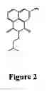 Fig. 03 - Naphthalimide compositions and uses thereof