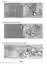 Fig. 02 - Method for producing extracts of thunberg or for hepatitis treatment