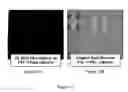 Fig. 10 - Integral pigments in composite surfaces