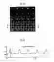 Fig. 04 - Method for fabricating nano pore