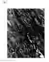 Fig. 02 - Moulded bodies consisting of core-shell particles