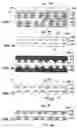 Fig. 02 - Curing processes for substrate imprinting, structures made thereby, and polymers used therefor
