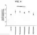 Fig. 05 - Composite coatings for groundwall insulation, method of manufacture thereof and articles derived therefrom