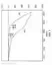 Fig. 02 - Spin finish
