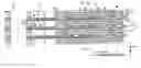 Fig. 01 - Fuel cell and fuel cell stack