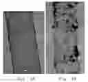 Fig. 07 - Fuel cell and membrane electrode assembly