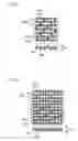 Fig. 03 - Electrolyte film electrode union, fuel cell containing the same and process for producing them
