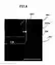Fig. 09 - Masks for fabricating semiconductor devices and methods of forming mask patterns