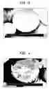 Fig. 03 - Powder-coated toner particles and method of making same
