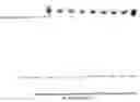 Fig. 01 - Concentrated azo dye solution, a staining kit comprising it, and a method for preparing a protein staining solution