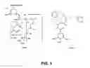 Fig. 02 - Methods for identifying an analog that promotes nerve regeneration