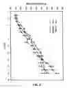 Fig. 06 - Methods for identifying an analog that promotes nerve regeneration
